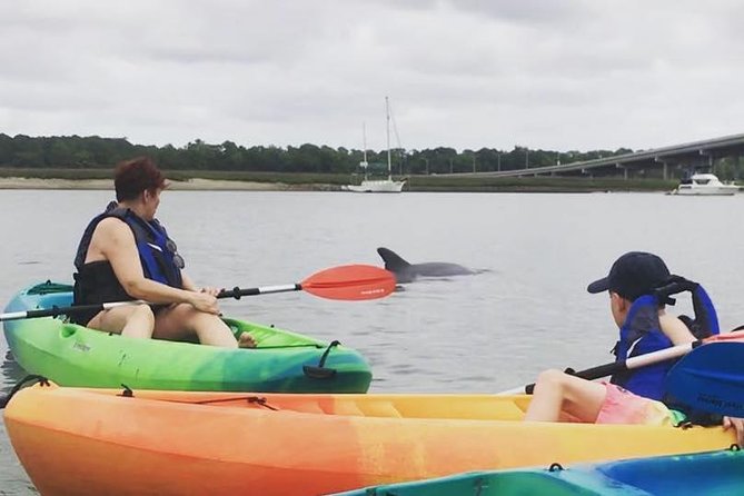 Hilton Head Guided Kayak Eco Tour - Tour Information