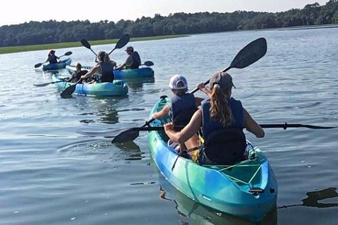 Hilton Head Guided Kayak Tour - Wildlife Spotting