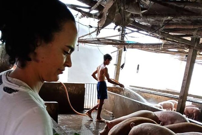 Ho Chi Minh City Full-Day Farm Trip With Healthy Cooking Class - Healthy Cooking Class Details