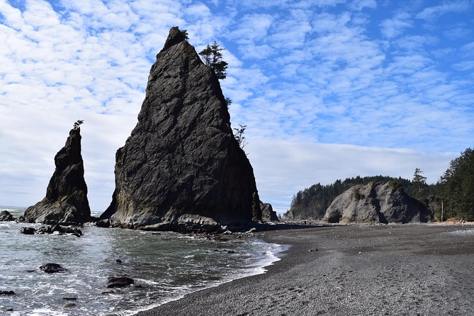 Hoh Rain Forest and Rialto Beach Guided Tour in Olympic National Park - What to Expect on the Tour