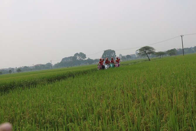 Hoi an Vespa Countryside Tour - Islands & Rural Villages 5 Hours - Common Questions