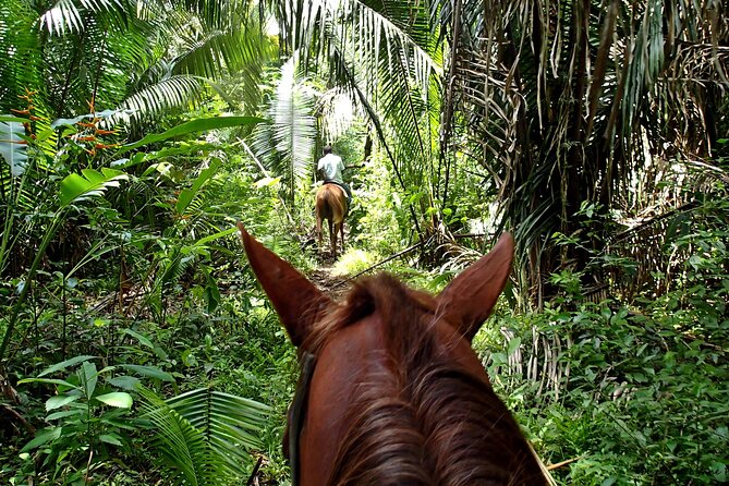 Holbox Horseback Riding in Nature Experience - Inclusions