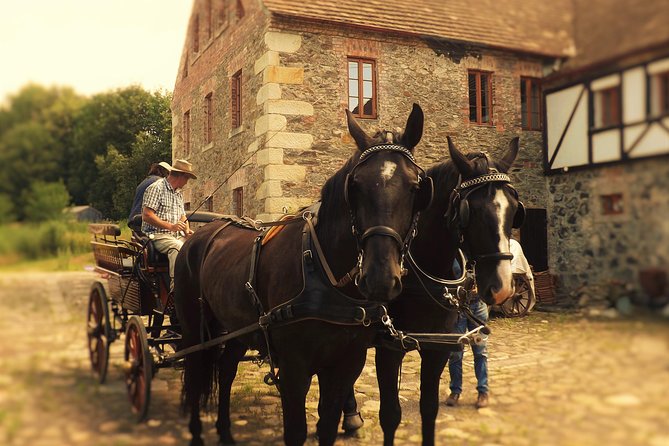 Horse and Carriage Tours With Polish Traditional Food Experience - Prompt Customer Support and Assistance