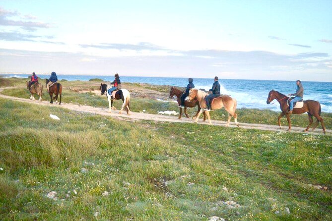 Horse Ride in a Salento Nature Reserve With Transfer From Lecce - Cancellation Policy