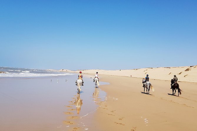 Horse Ride on the Beach in Essaouira - Tour Overview