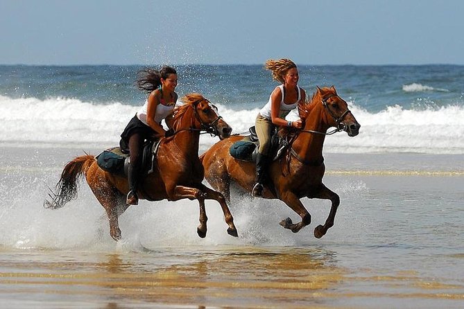 Horse Riding Agadir - Additional Information and Cancellation Policy