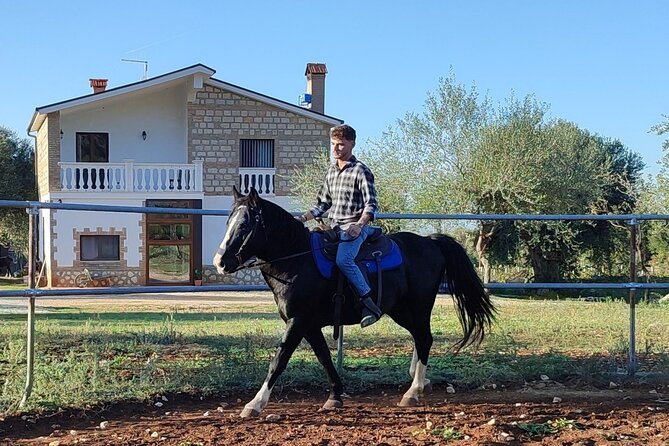 Horse Riding in the Gargano National Park - Questions and Pricing