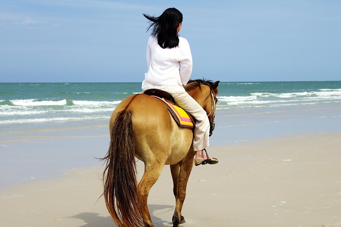 Horse Riding on the Beach in Side - Route Options for Horse Riding