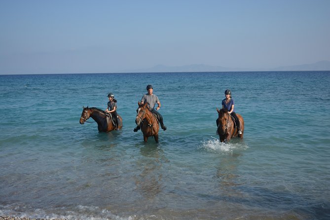 Horse Riding on the Beach, Rhodes - What To Expect