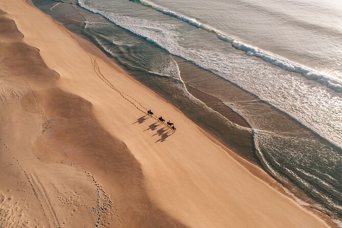 Horse Riding on the Beach With Private Transfer From Lisbon - Cancellation Policy