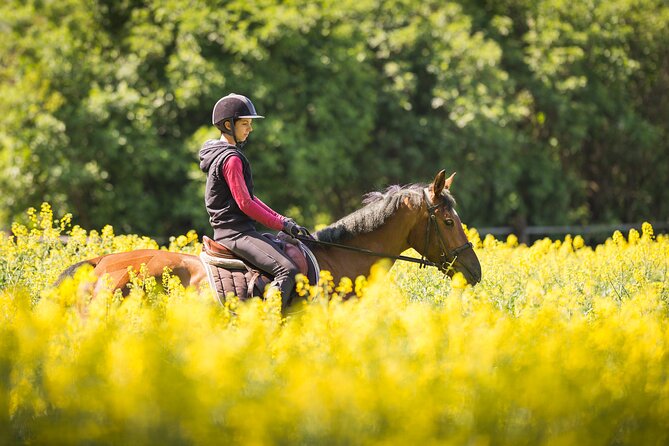Horse Riding Tour in Marmaris - Meeting and Pickup Details
