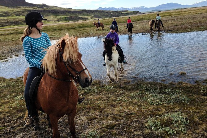 Horse Riding Tour to the Glacier River Delta With Waterfall - Riding Experience