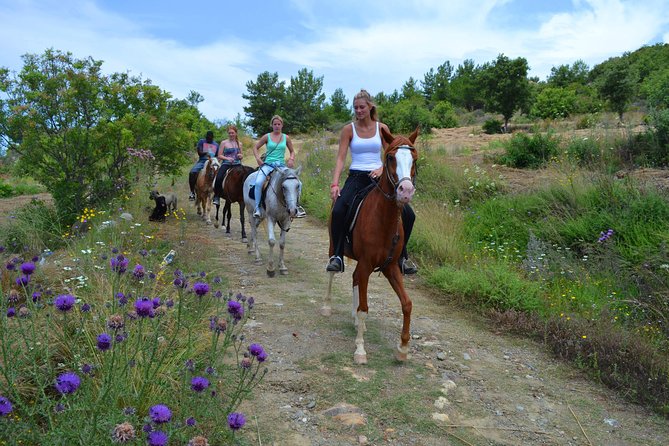 Horse Safari to Ancient Syedra - Safety and Health Considerations