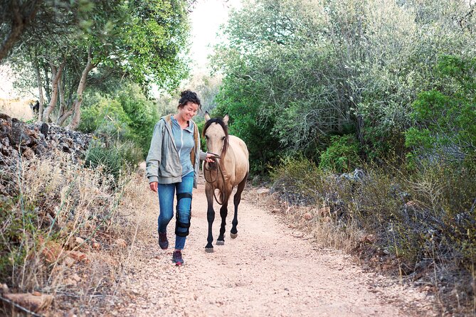 Horse Sanctuary: a Nature Walk With Rescued Horses by Your Side - Meeting and Pickup