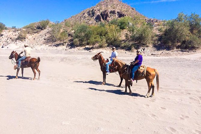 Horseback Ride and Witness Magical Sunset of Loreto, BCS - Pickup and Transportation
