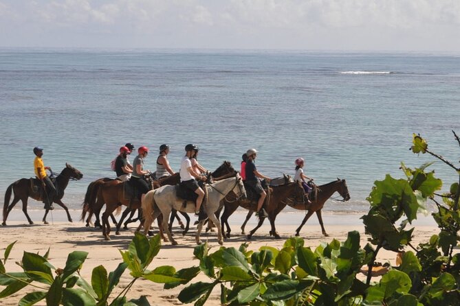Horseback Riding Adventure Punta Cana - Overview of the Horseback Riding Adventure