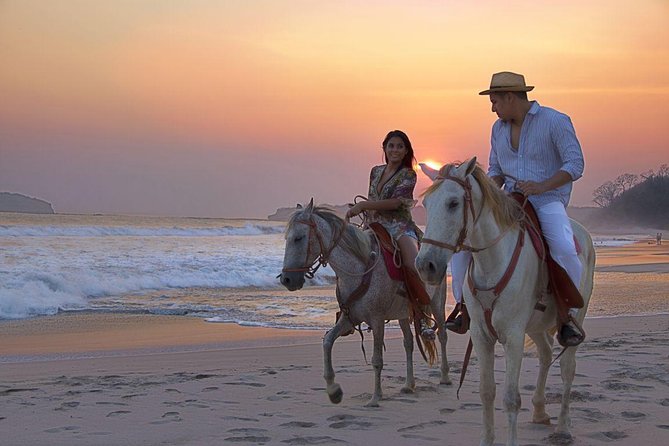 Horseback Riding in Djerba Lagoon - Meeting and Pickup