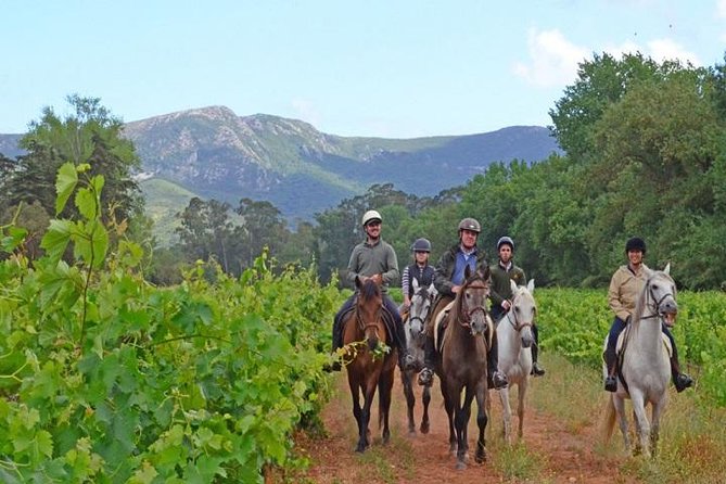 Horseback Riding In Lisbon - Arrábida - Louro Trail Mountain 5 - 6 Hours - Tour Overview