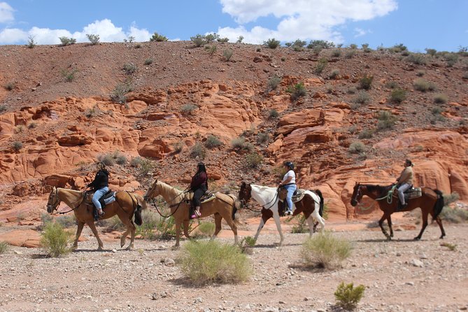 Horseback Riding Tour Adventure With Breakfast in Las Vegas - Location and Transportation