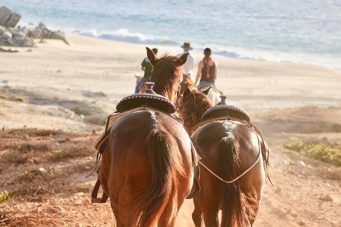 Horseback Riding Tour in Cabo San Lucas - What To Expect