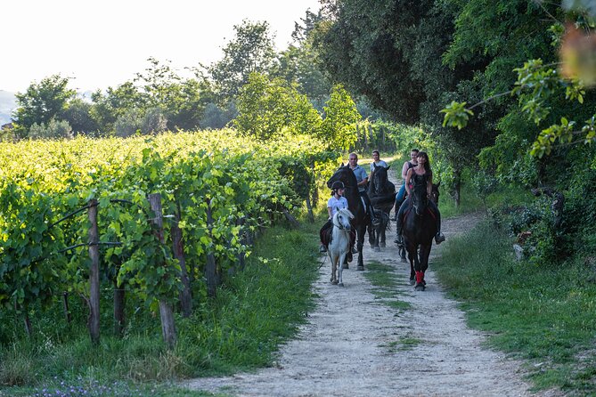 Horseback Riding Tour With Tuscan Picnic in Val Dorcia and Valdichiana - Exploring the Tuscan Countryside