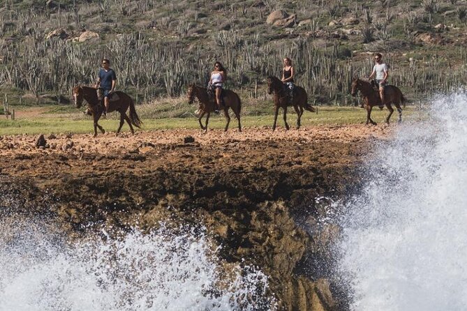 Horseback Riding Wariruri Beach Tour in Aruba - Inclusions