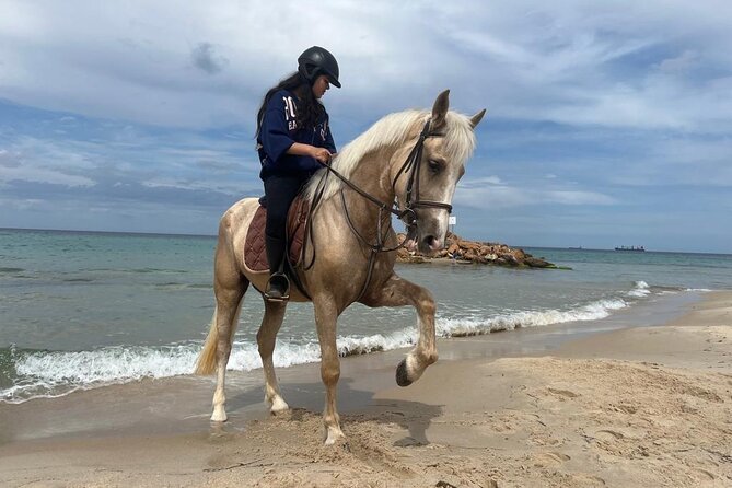 Horseback Riding With Private Transfer - Cancellation Policy
