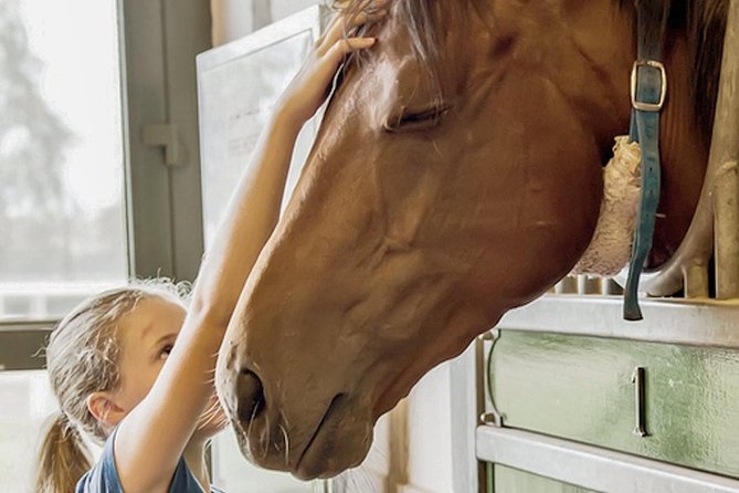 Horses Stables & New Dubai Tour - Common Questions