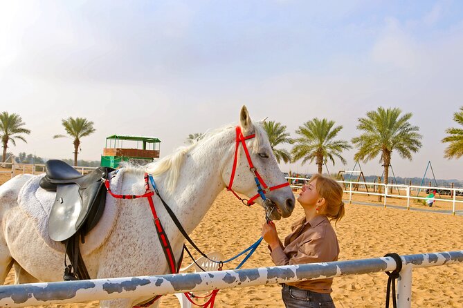 Hot Air Balloon Breakfast Horse Quad Dune Bashing Sand Boarding - Breakfast With a View