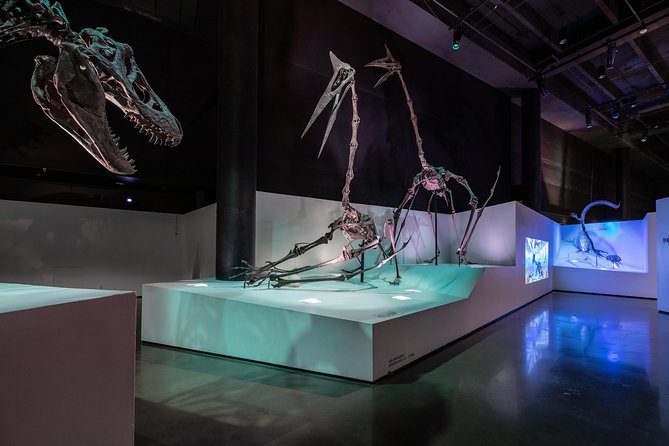 Houston Museum of Natural Science General Admission - Opening Hours and Expectations