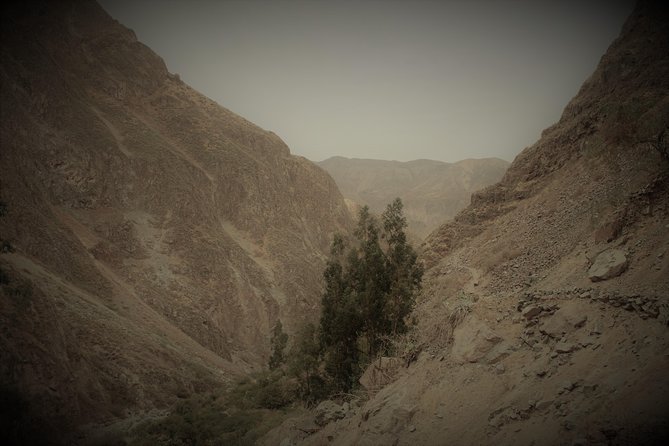 Huaruro Waterfall & Colca Canyon Trekking - 4 Days - The Sum Up