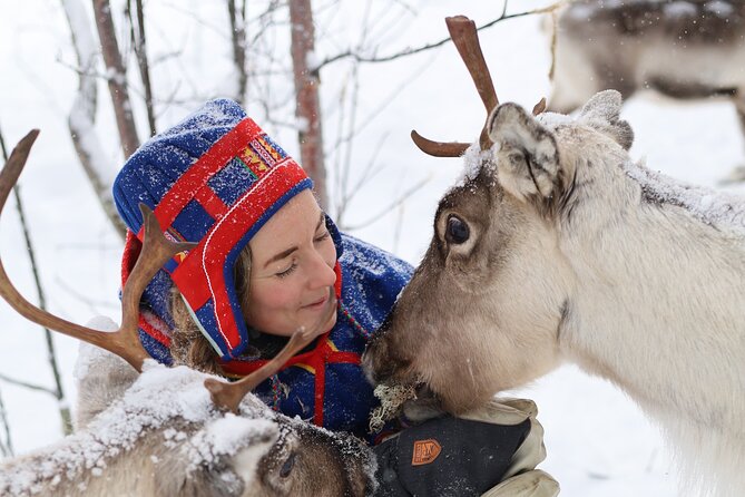 Hunt for Auroras by Reindeer Sled in Kiruna - Traditional Tasks With Reindeer Herders