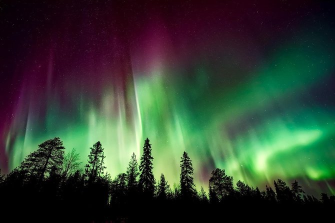 Hunt for the Northern Lights in Kiruna - Abisko - What to Bring for the Tour