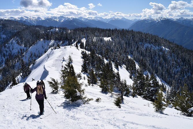 Hurricane Ridge Guided Snowshoe Tour in Olympic National Park - Additional Tour Information