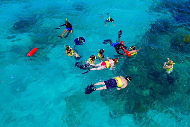 Icacos Island (Cayo Icacos) Snorkeling With Lunch and Open Bar  - Fajardo - Customer Reviews and Feedback
