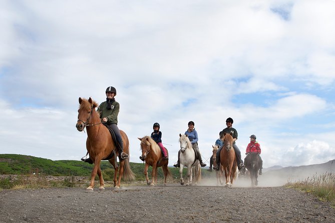 Icelandic Horseback Riding Tour From Reykjavik - Pickup and End Points Information