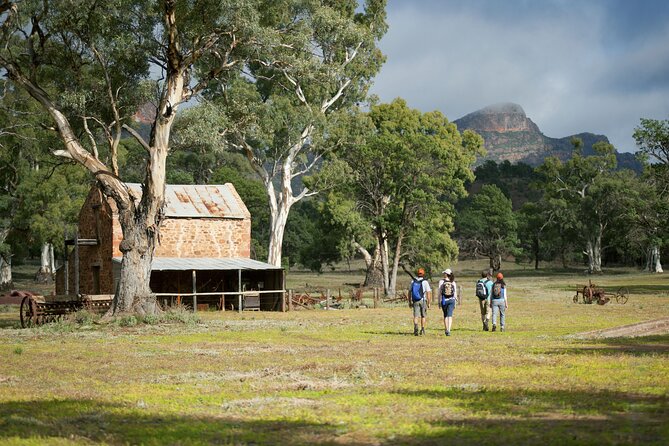 Ikara-Flinders Ranges Hiking Tour - 5 Days - Day 1: Starting the Adventure
