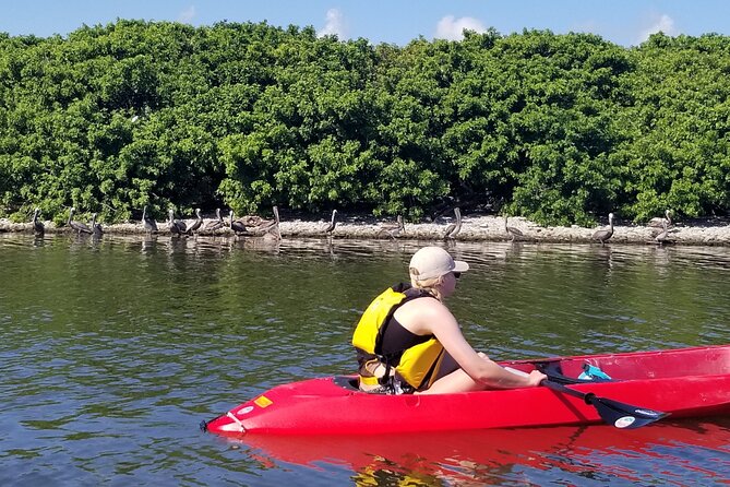 Indian River Clear Bottom Kayak or Paddleboarding Manatee and Dolphin Tour - Meeting and Pickup Information