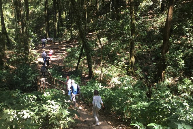 Inthanon Small-Group With Kew Mae Pan Trail From Chiang Mai Include Lunch - Tour Details
