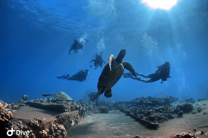 Intro to Scuba Diving in Kaanapali - Learning Scuba Diving in Lahaina