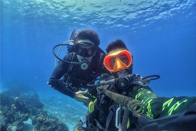 Introductory Diving Class in the Cozumel Reefs - Dive Equipment and Safety Briefing