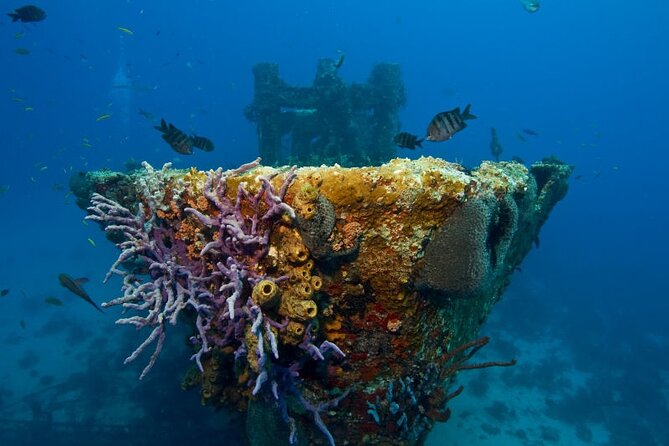 Introductory Diving in Aruba - Practice and Communication With the Dive Instructor