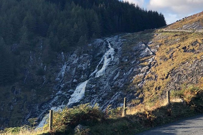 Ireland Half-Day Private Sightseeing Tour in County Wicklow  - Dublin - Contact Information