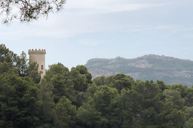 Isla Dragonera Cruise With Light Lunch and Swim ATALAYA II - Overview of the Experience