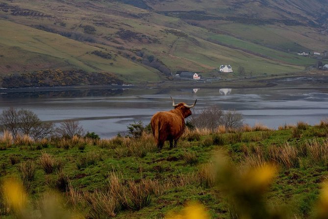 Isle of Skye and the Fairy Pools Tour - Meeting and Pickup