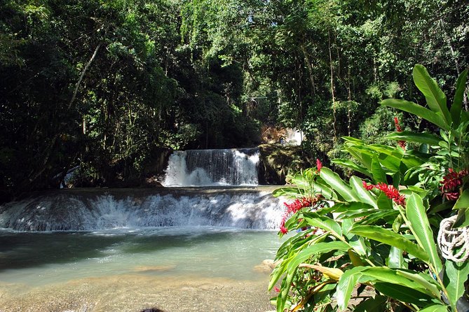 Jamaican South Coast Private Sightseeing Tour With Transport  - Montego Bay - Traveler Photos and Reviews