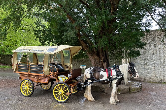 Jaunting Car Tour in Killarney National Park - Miscellaneous Information