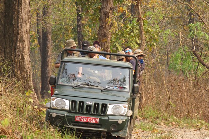 Jeep Safari ( Inside Chitwan National Park, 8-10 Hrs.). - Meeting and Pickup