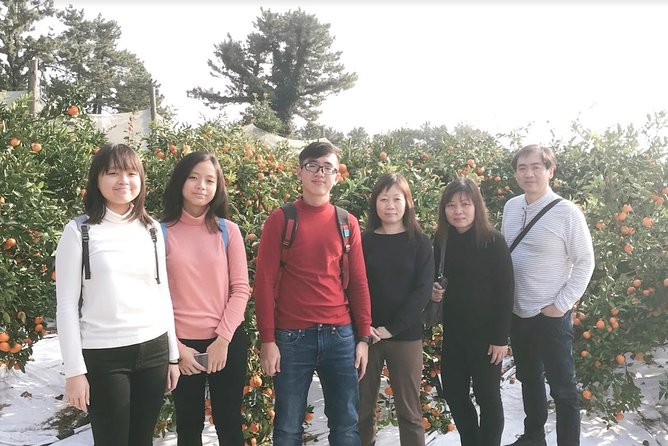 Jeju Island Package 3D2N/4D3N Hotel and Taxi/Van Tour - Overview of the Package