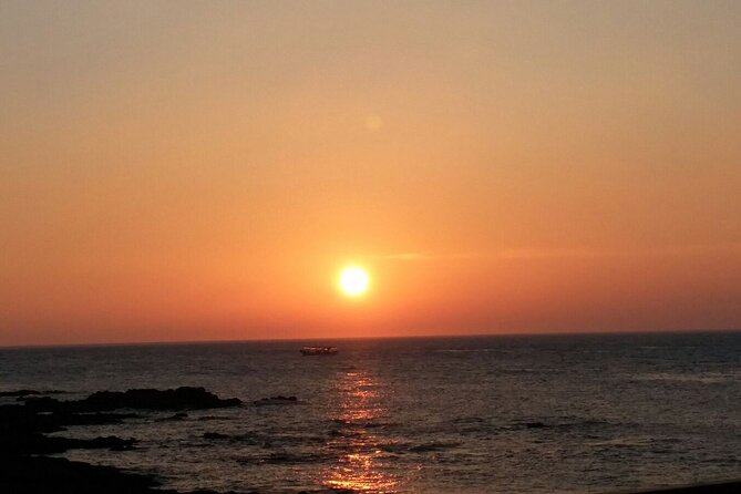 Jeju Private Tour in Woljeongri Beach & Forest & Dongmun Market - Dongmun Market Experience
